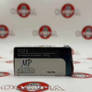 TEST E (USA Domestic) Magnus